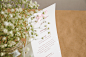 wedding identity : wedding identity for my friends : )