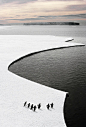 帝企鹅漂流记：这张照片由鱼眼胶卷公司（Fish Eye Films）提供，拍下了南极罗斯海上一小群帝企鹅站在随水漂流的浮冰边缘的场景。