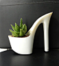 This planter is for a shoe lovers !!!