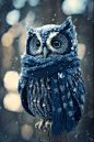 cyanotype yarn owl snowing