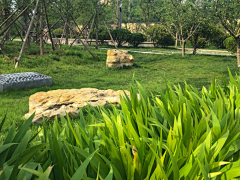 linlianghui采集到海绵城市