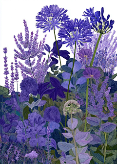 *锦瑟*采集到插画