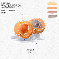 VEGGA小笨采集到VEGGA小笨的iPad清新水彩画