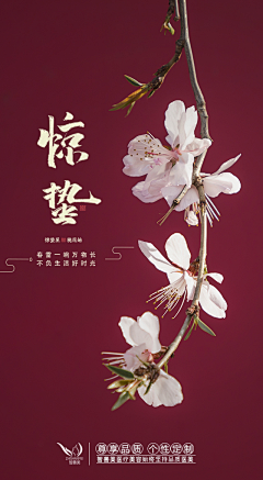浩哈哈采集到海报(左右排版)