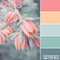 Color scheme  Blushing blooms #patternpod #patternpodcolor #color