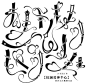 抱图转采+关注未泊汀舟