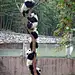 熊猫串
