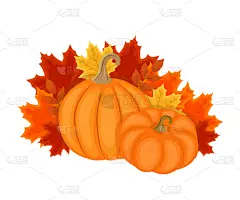 秋天,南瓜,叶子,式样,活力,九月,十月,壁纸,模板,植物