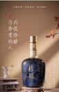 【重磅新品】珍酒珍酿53度酱香型白酒500ml*2-tmall.com天猫