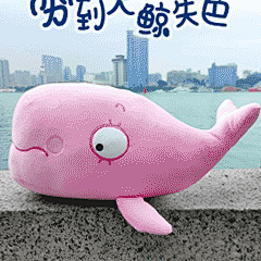 神鲸嘻嘻表情包
