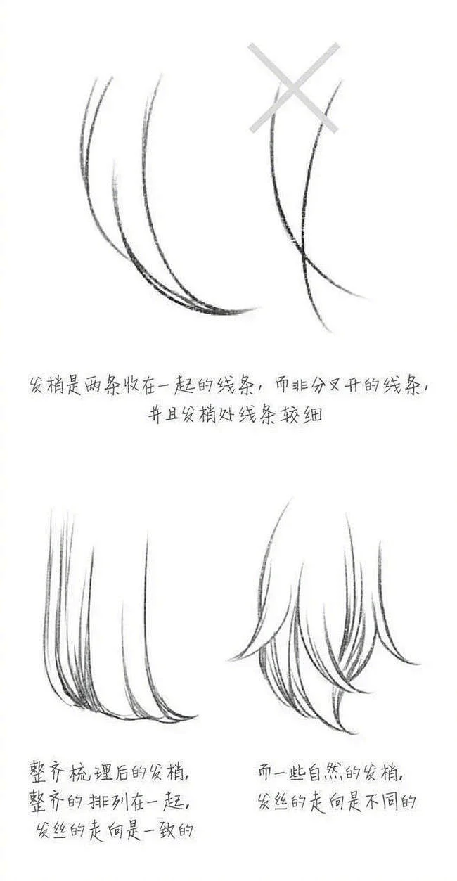 头发参考/发型素材/发型 发梢与发根的处理技巧 花瓣关注原画人，推荐更多精选素材，绘画更有灵感-花瓣网