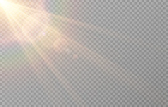 图源免费EPS |带有眩光的矢量太阳光。金色闪光 png。太阳光线 png。来自太阳的眩光，黎明，光效-花瓣网