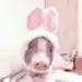 牛博士aaaaa
