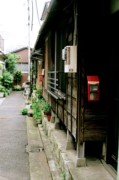 OK8R0myf采集到日本风格模板