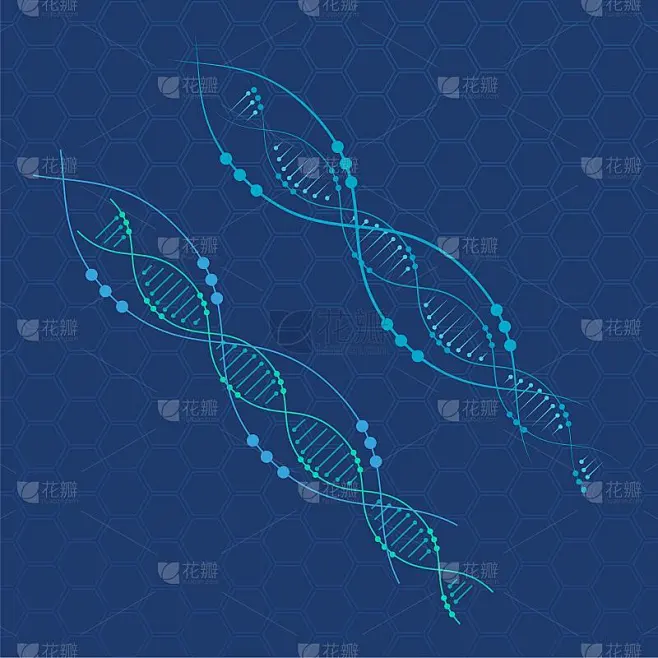 医学DNA矢量图标设计插图素材-花瓣网