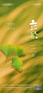 地产立秋海报