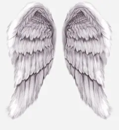 翅膀装饰图案8825桌面壁纸高清素材 8825桌面壁纸 免抠PNG 白色 简约 翅膀 装饰图案 免抠png 设计图片 免费下载