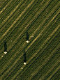 aerial palouse WA,Agriculture and Farms,CALIFORNIA FARMS,Farmland aerial image,fine art prints,los angeles aerials,Montana aerial farmland,Palouse farmland,phase one aerial,Produce aerial art