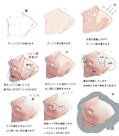 solomonkey采集到教程
