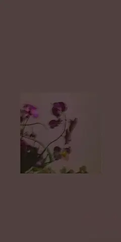 @你看那是岸_朱夫人（由于壁纸有一部分自制，所以转壁纸请加关注注明出处，蟹蟹）平铺，可爱，女王范，黑色，黑白，白色，锁屏，ins风，潮，御姐，动漫，卡通，风景，古风，流行，欧美，情侣壁纸