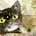 荒野孤鹜