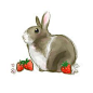兔子动作插画_360图片