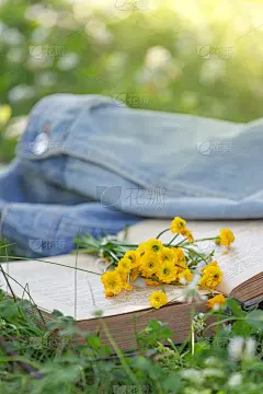 翻开书，黄色的花朵在草地上扇动书页。32、夏底春意同开书，梦的概念。回到学校。复制空间,横幅