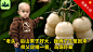 113e05b5f8f5279193fcf134c3e2b166_常读免费小说_1280x720_2024-07-26_776516