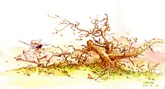 幽灵公主-可乐狗__涂鸦王国插画