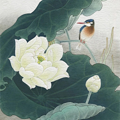 itscseldom采集到工笔画