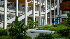 YR-ZM采集到X- 学校景观