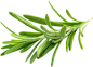 a14b30bdb0a0d9e52feedc354f0b3d732ae4b4edfcdb-SpDM0l