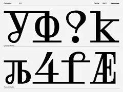 高端经典实验性品牌设计海报杂志排版衬线英文字体  Connector