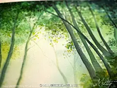 【米蒂风景水彩】 森林幻影，无边的绿海，涤荡着心灵的回声，寂寞的精灵，在她悠闲喘息里进入梦萦，薄雾的夜里悄然无声，那高耸的苍松是她的眼睛，遥望着那轮银月跳出晴空，寂静的海不露一丝息声，安宁就那么淡然的融进梦中！#米蒂风景水彩# #水彩风景# #手绘水彩# ​​​​