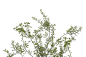 JZ_227