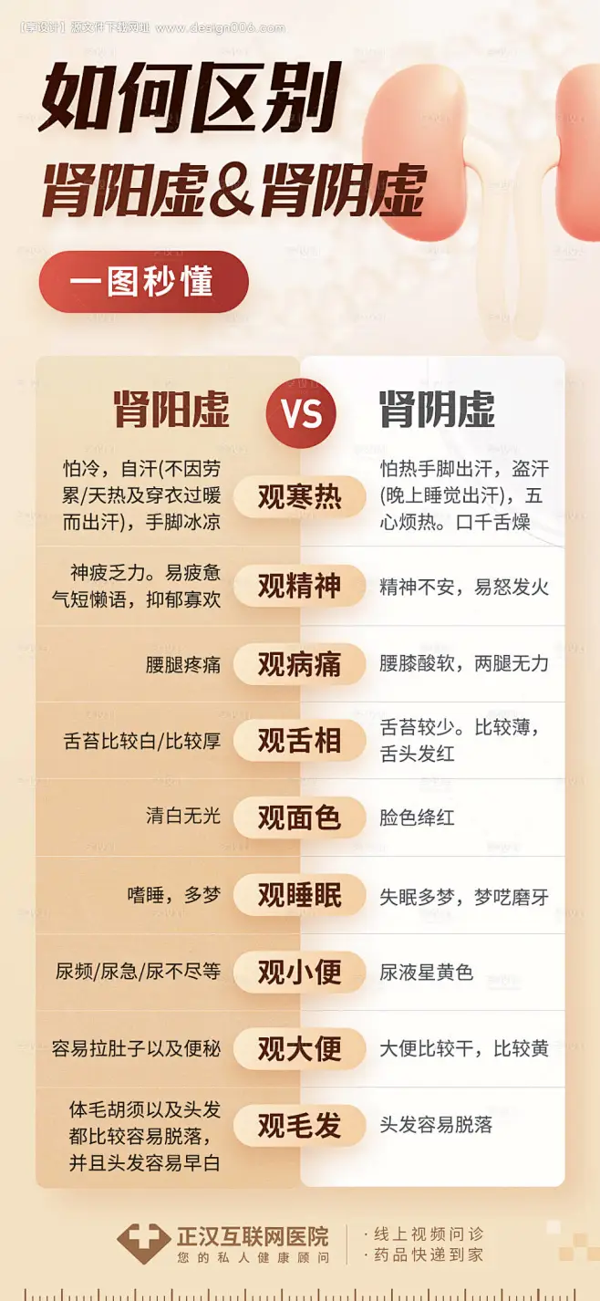 肾阳虚肾阴虚对比图海报--源文件下载-花瓣网
