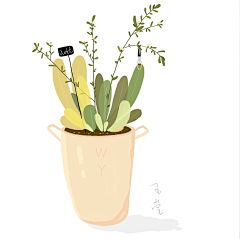 ´微微笑采集到插画-植物