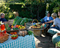 Santa Barbara: Cottage Garden : Cottage garden, curb apeal, edible garden, front yard, kitchen garden, picking garden, vegetable pots, veggie garden, veggie pots, 