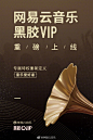 网易云音乐全新上线“黑胶VIP”服务。
成为网易云音乐黑胶VIP，即可享受网易云音乐全站专属特权。从音乐推荐到音乐下载，从线上体验到线下音乐节、LiveHouse娱乐福利，网易云音乐都为你竭诚服务。
即日起到6月24日，网易云音乐“黑胶VIP”开始首发活动，每晚8点，免费抽取黑胶VIP年卡，每日限量500张， ​​​​...展开全文c