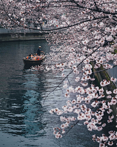 ♀榇忧鍀樾偂♂采集到场景-实景日系