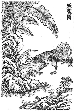 山海經-鬿雀：又《東次四經》之首，曰北號之山，臨于北海。食水出焉，而東北流注于海。有鳥焉，其狀如鷄而白首，鼠足而虎爪，其名曰鬿雀，亦食人。