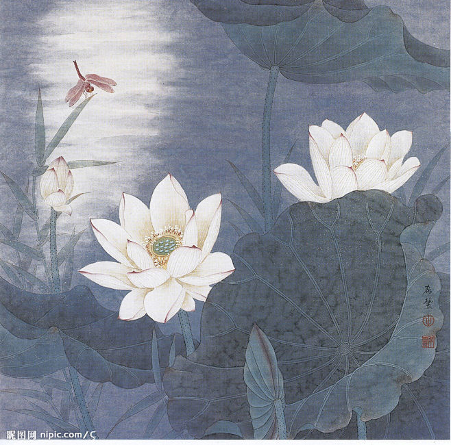 工笔画 荷花