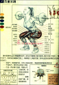 男子健身方法动作标准图示（值得男人收藏）