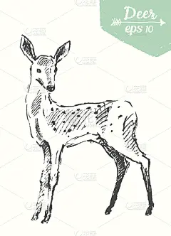 素描鹿古董插图手绘矢量