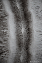                                                                                                     艺术家Rogan Brown给gooood分享了他的最新作品–细菌剪纸，这项艺术创作历经4个月的时间，创造出让人震撼的视觉效果与细节。

手工剪纸可以说是在纸片上用解剖刀“解剖”。这是一个从大肠杆菌和沙门氏菌得到灵感，做成的巨大微生物外形。它长112厘米/44英寸，是实际细菌大小的50万倍。这一设计是由英国 