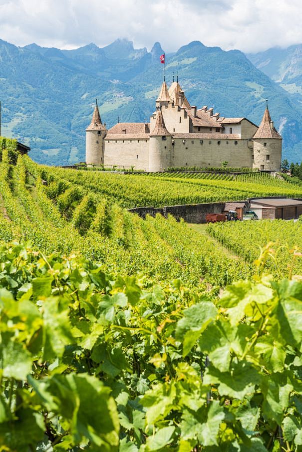 天使城堡 瑞士 Aigle Castle...