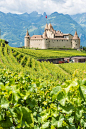 天使城堡 瑞士 Aigle Castle, Vaud Switzerland (by Ten2Ten).