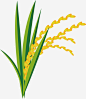 农田里的稻谷高清素材 农田 卡通 大米 水稻 燕麦 稻田 稻谷 米穗 麦子 麦穗 免抠png 设计图片 免费下载