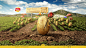 Lay's Arabia Website : Concept: THE LAND OF IRRESISTIBLITYThis is the story of a potato and its journey to becoming a Lay’s chip.It goes through various stages (washing, cutting, cooking, etc.) before gracefully falling inside a pack of chips.VIsit the si