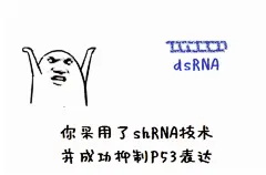 拥有丰富的表情包是一种什么样的体验？ - X 是种怎样的体验 - 知乎